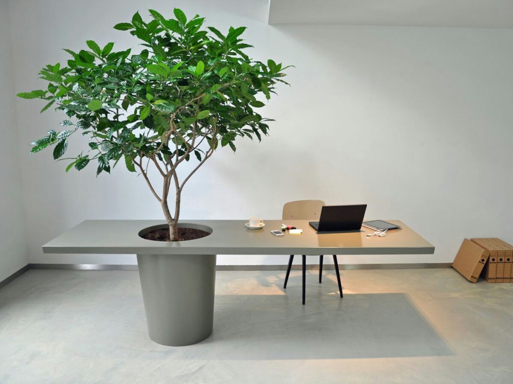 office-plants-toronto