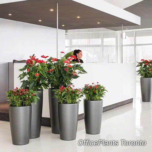 reception-office-flower